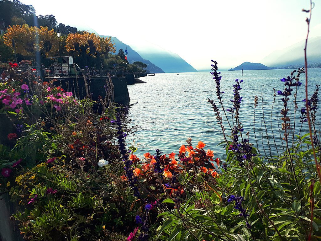 Exuberante vegetacion en Lago di Como Exuberante vegetacion en Lago di Como